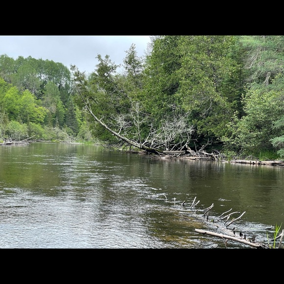Meet your Posher, James - Picture 1 of 1